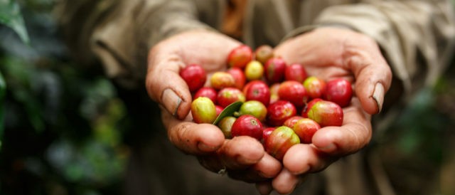 Il prezzo del caffè deve rimanere sostenibile