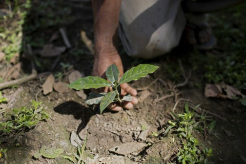 Cooperativa Agropecuaria Mejillones