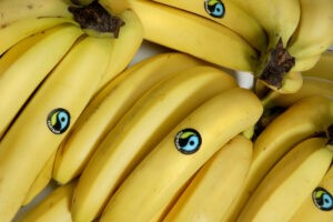 Banane biologiche