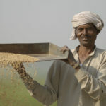 Produttori di riso e cereali fairtrade