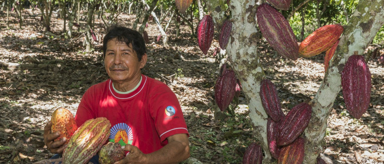 Raccoglitore presso Acopagro