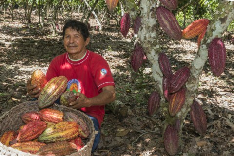 Acopagro