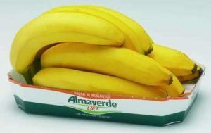 Banane biologiche