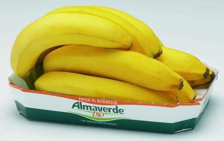 Banane biologiche
