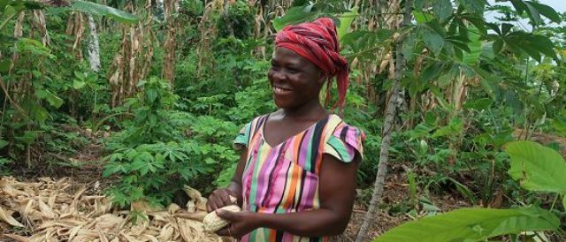 Fairtrade torna alle radici per la Giornata mondiale della Terra