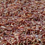Insalata di riso rosso e seppie