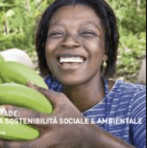 Report Fairtrade Italia 2010