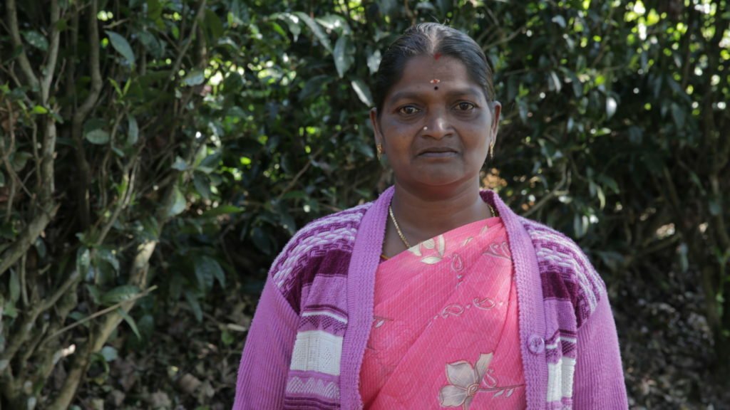 Ponmani, lavoratrice di United Nilgiri Tea, in India
