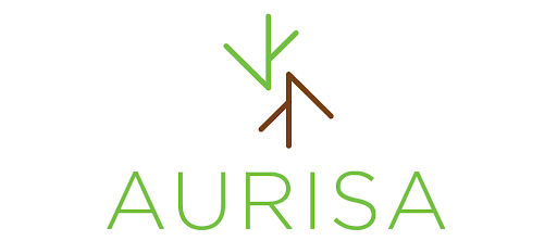 Aurisa srl