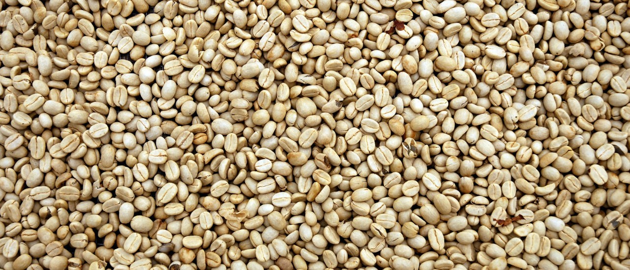 chicchi di caffè
