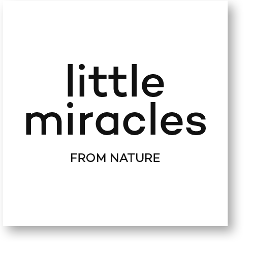 little miracles logo