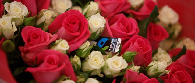 4 motivi per cui regalare rose Fairtrade è un gesto d’amore vero