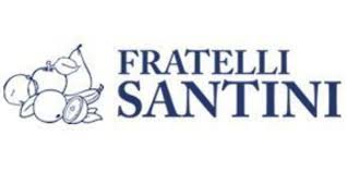 FRATELLI SANTINI SRL logo