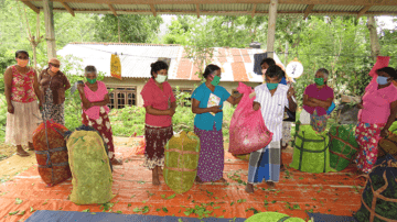 Fairtrade in supporto ai piccoli agricoltori bio in Sri Lanka